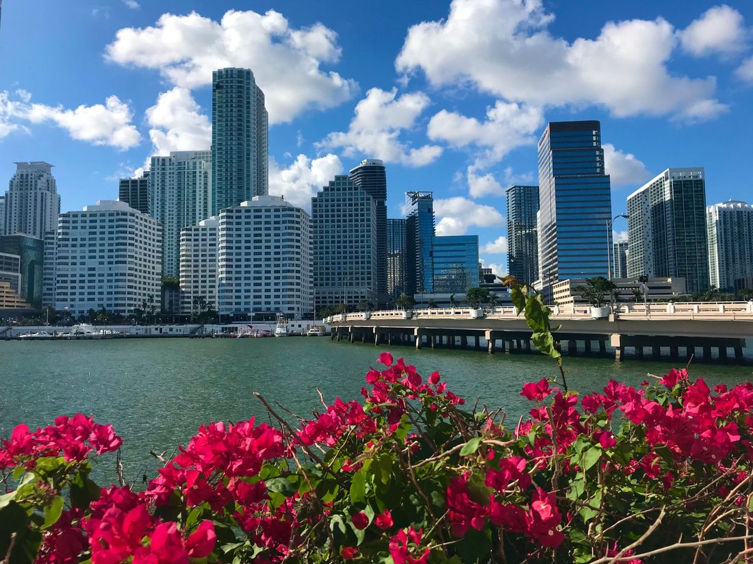 best museums in miami