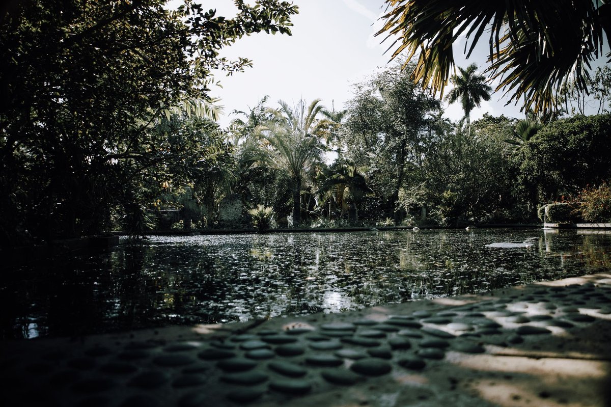 The historic observation mound and lagoon at Greynolds Park in North Miami Beach