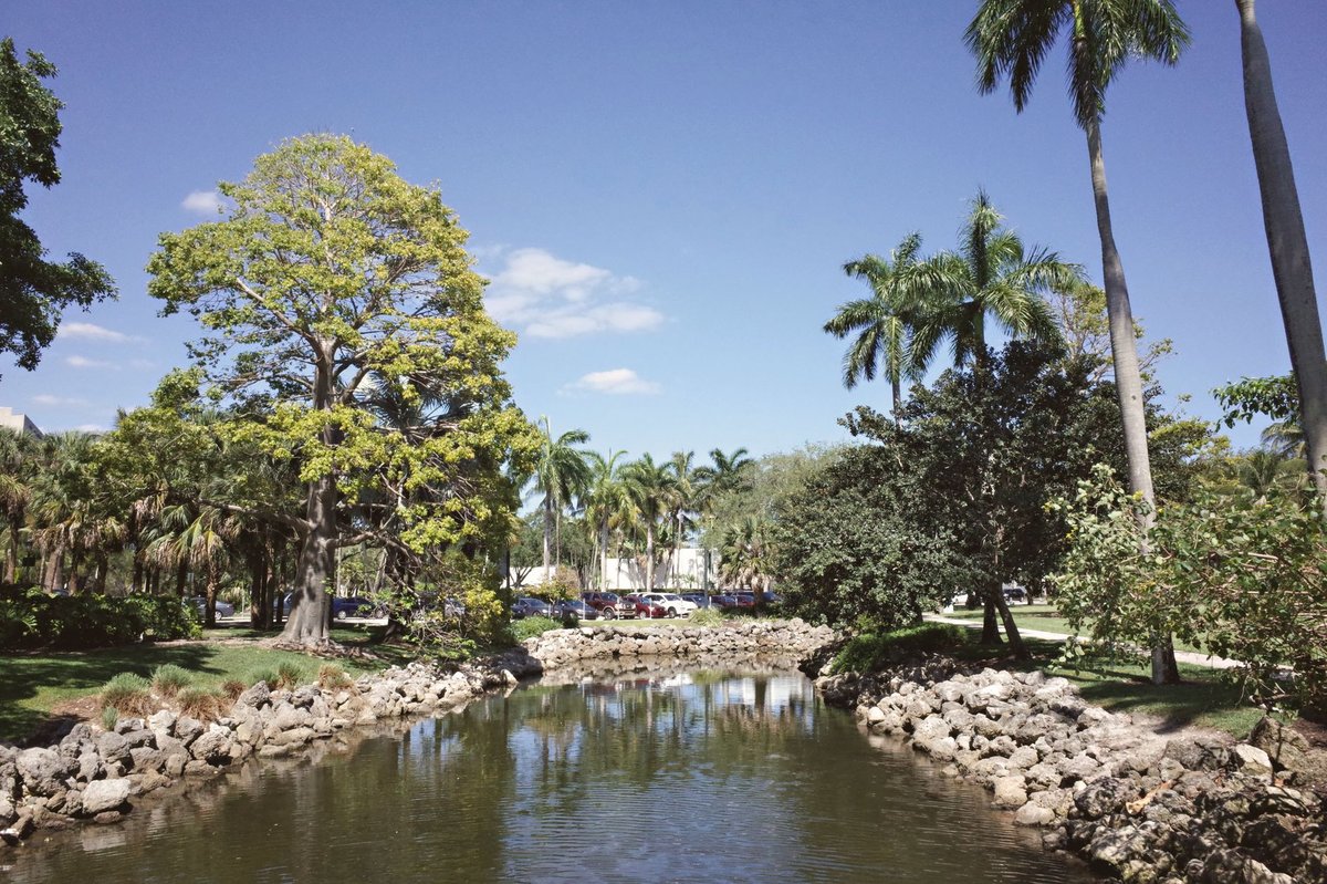The tidal atoll pool at Matheson Hammock Park in Coral Gables