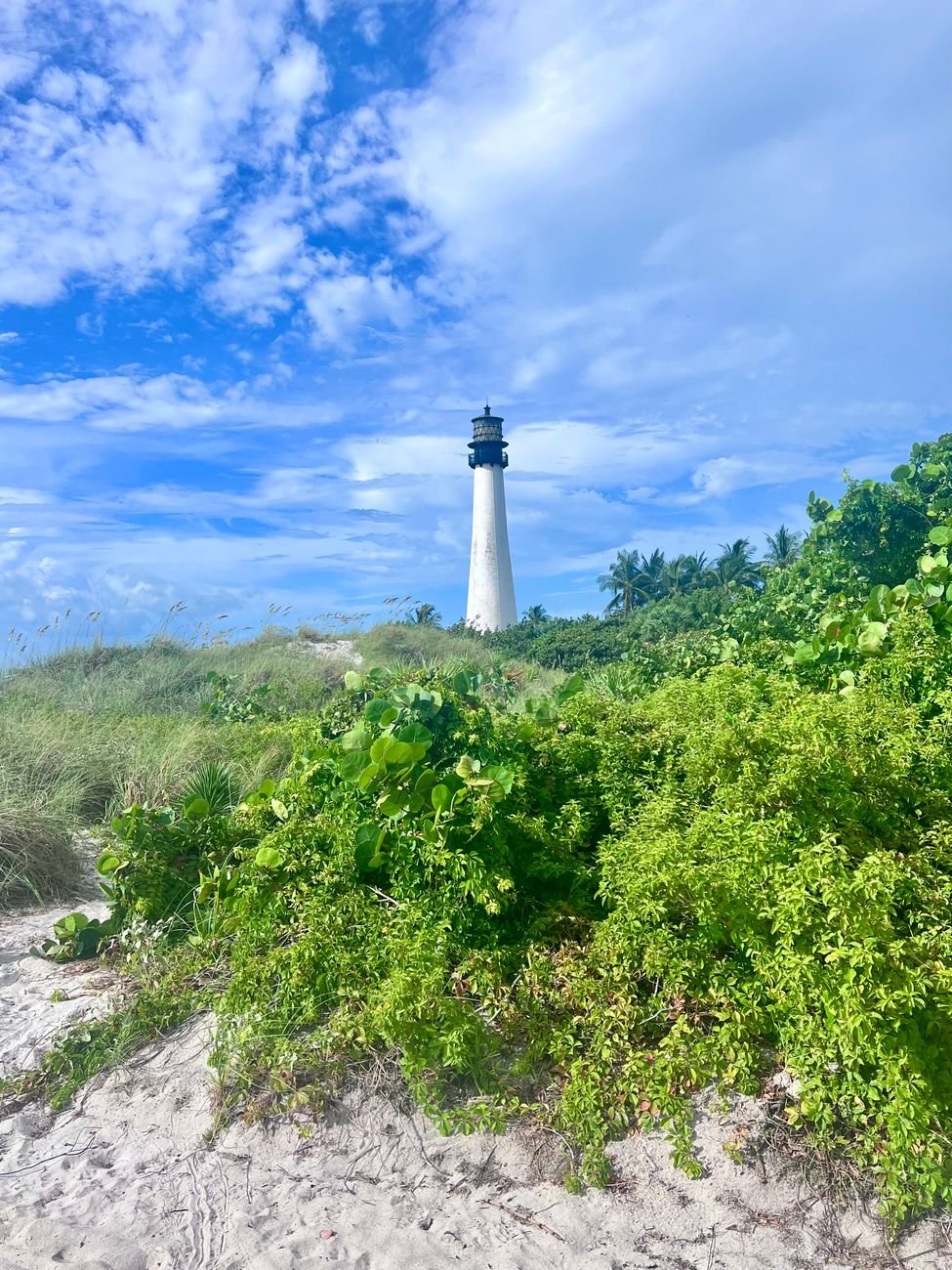 best parks in miami