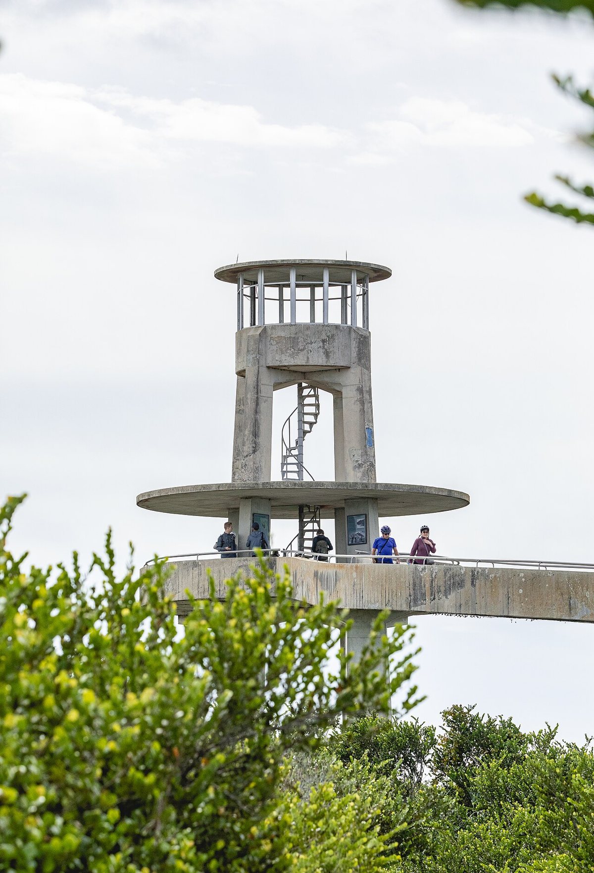 The observation tower above the sawgrass at Shark Valley in Everglades National Park